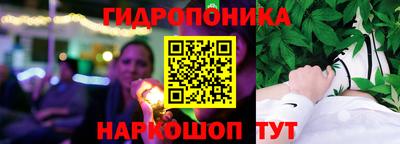 apvp Гусев